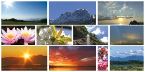 Quelle der Entspannung und Lebenskraft