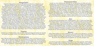 Reiki Haende