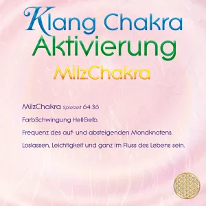Klang Chakra Aktivierung ~ MilzChakra